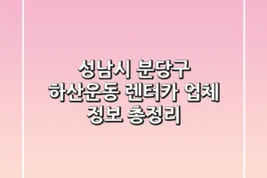 성남시 분당구 하산운동 렌터카 업체 정보 총정리