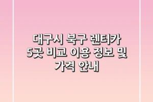 대구시 북구 렌터카 5곳 비교: 이용 정보 및 가격 안내
