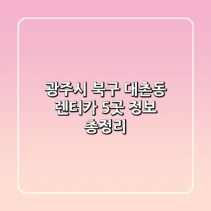 광주시 북구 대촌동 렌터카 5곳 정보 총정리