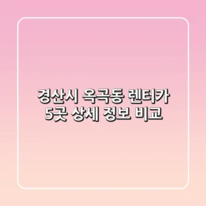 경산시 옥곡동 렌터카 5곳 상세 정보 비교