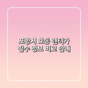 포항시 호동 렌터카: 필수 정보 비교 안내