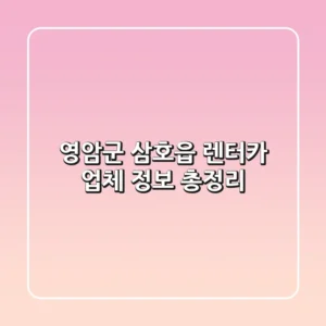 영암군 삼호읍 렌터카 업체 정보 총정리