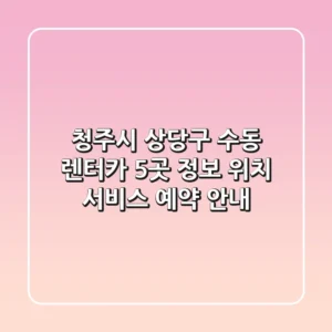 청주시 상당구 수동 렌터카 5곳 정보 - 위치, 서비스, 예약 안내