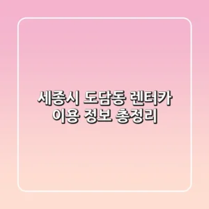 세종시 도담동 렌터카 이용 정보 총정리
