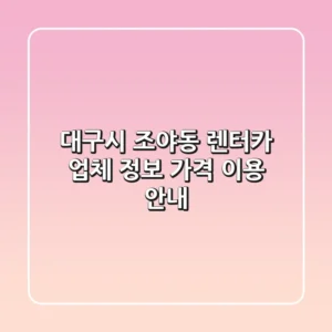 대구시 조야동 렌터카: 업체 정보, 가격, 이용 안내