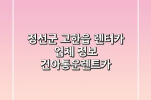 정선군 고한읍 렌터카 업체 정보 – 건아통운렌트카