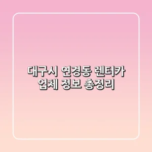 대구시 연경동 렌터카 업체 정보 총정리