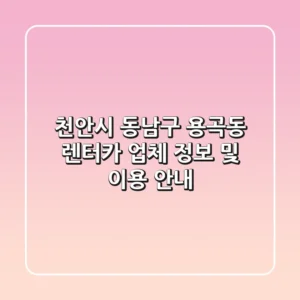 천안시 동남구 용곡동 렌터카: 업체 정보 및 이용 안내