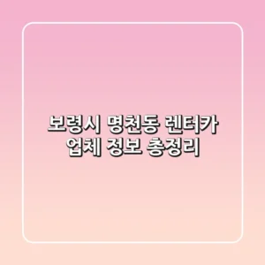 보령시 명천동 렌터카 업체 정보 총정리