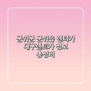 군위군 군위읍 렌터카: 대구렌트카 정보 총정리