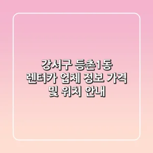 강서구 등촌1동 렌터카 업체 정보 - 가격 및 위치 안내