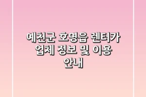 예천군 호명읍 렌터카 업체 정보 및 이용 안내