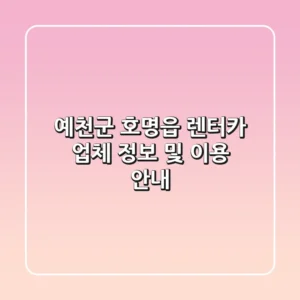 예천군 호명읍 렌터카 업체 정보 및 이용 안내