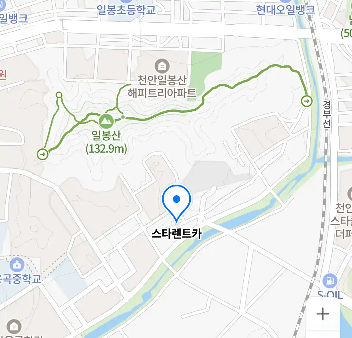 스타렌트카 위치