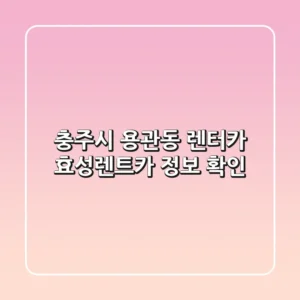 충주시 용관동 렌터카: 효성렌트카 정보 확인