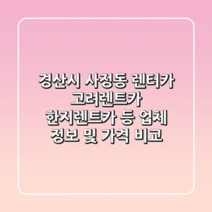 경산시 사정동 렌터카: 고려렌트카, 한지렌트카 등 업체 정보 및 가격 비교