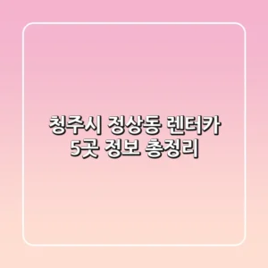 청주시 정상동 렌터카 5곳 정보 총정리