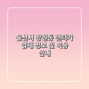 울산시 장현동 렌터카 업체 정보 및 이용 안내