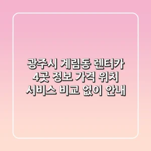 광주시 계림동 렌터카 4곳 정보 - 가격, 위치, 서비스 비교 없이 안내