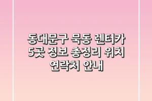 동대문구 묵동 렌터카 5곳 정보 총정리 – 위치, 연락처 안내