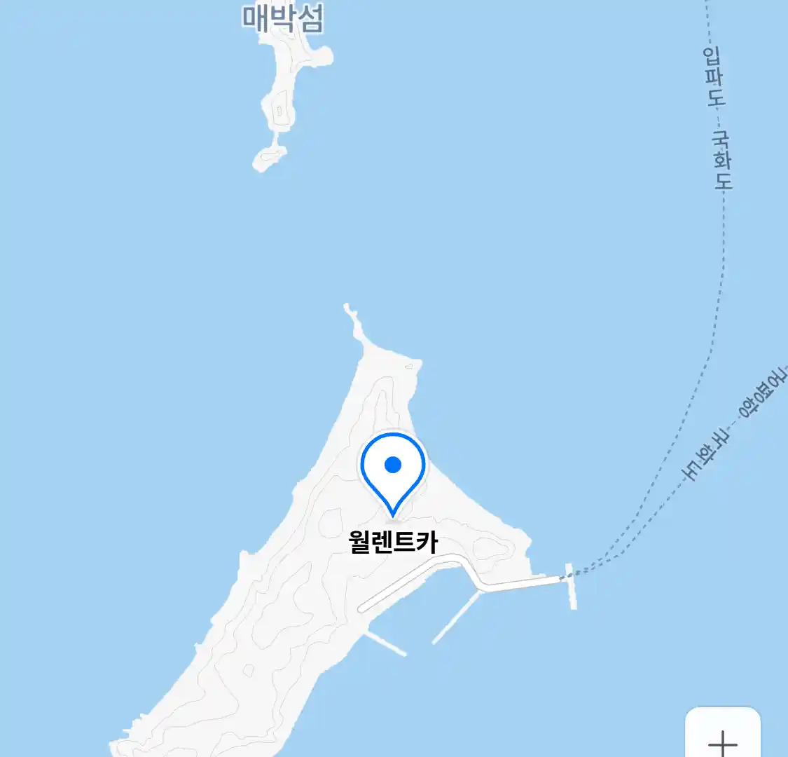 월렌트카 위치