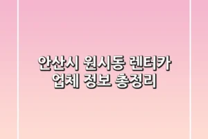 안산시 원시동 렌터카 업체 정보 총정리