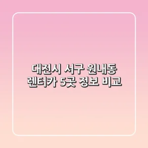 대전시 서구 원내동 렌터카 5곳 정보 비교