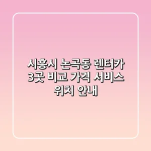 시흥시 논곡동 렌터카 3곳 비교 - 가격, 서비스, 위치 안내