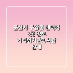 군산시 구암동 렌터카 3곳 정보 - 가격/위치/운영시간 안내