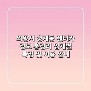 의왕시 청계동 렌터카 정보 총정리 - 업체별 특징 및 이용 안내