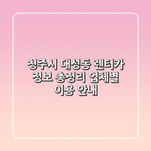 청주시 대성동 렌터카 정보 총정리 - 업체별 이용 안내