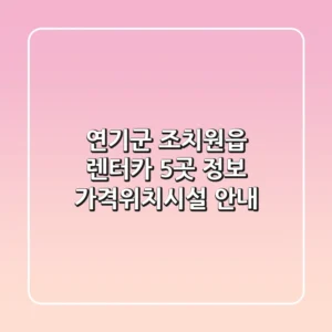 연기군 조치원읍 렌터카 5곳 정보 - 가격/위치/시설 안내