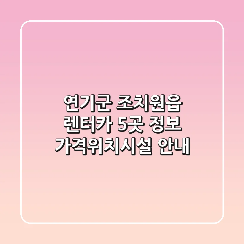 연기군 조치원읍 렌터카 5곳 정보 - 가격/위치/시설 안내