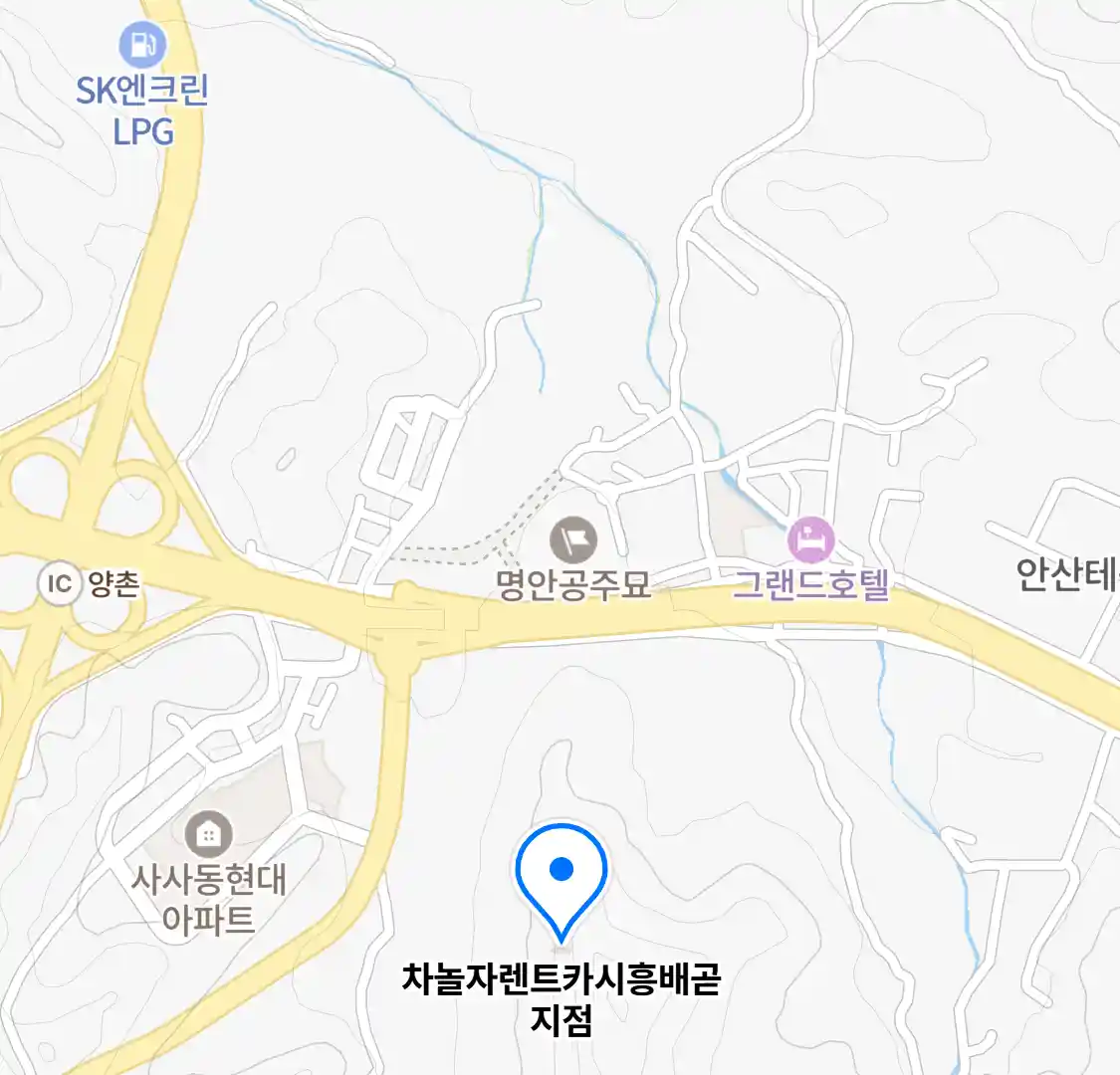 차놀자렌트카시흥배곧지점 위치