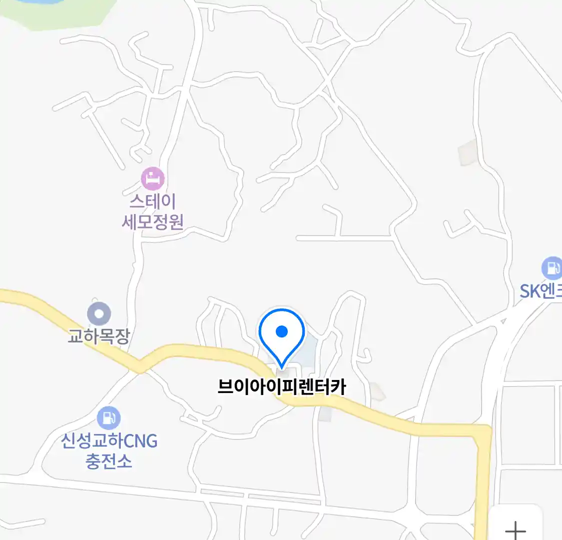 브이아이피렌터카 위치