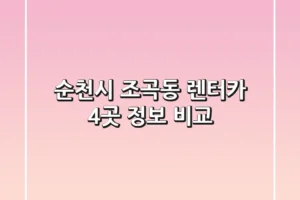 순천시 조곡동 렌터카 4곳 정보 비교