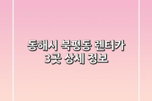 동해시 북평동 렌터카 3곳 상세 정보