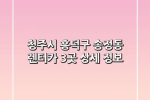 청주시 흥덕구 송정동 렌터카 3곳 상세 정보