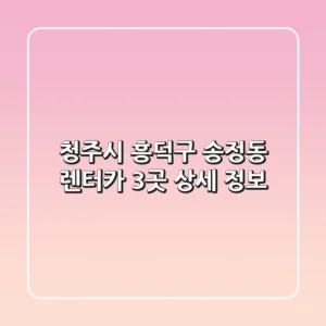 청주시 흥덕구 송정동 렌터카 3곳 상세 정보