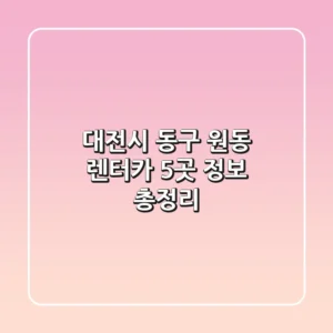 대전시 동구 원동 렌터카 5곳 정보 총정리