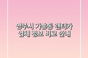 영주시 가흥동 렌터카 업체 정보 비교 안내