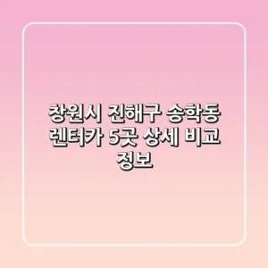 창원시 진해구 송학동 렌터카 5곳 상세 비교 정보