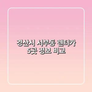 경산시 서부동 렌터카 5곳 정보 비교