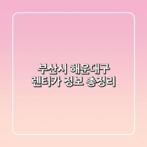부산시 해운대구 렌터카 정보 총정리