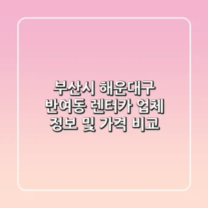 부산시 해운대구 반여동 렌터카 업체 정보 및 가격 비교