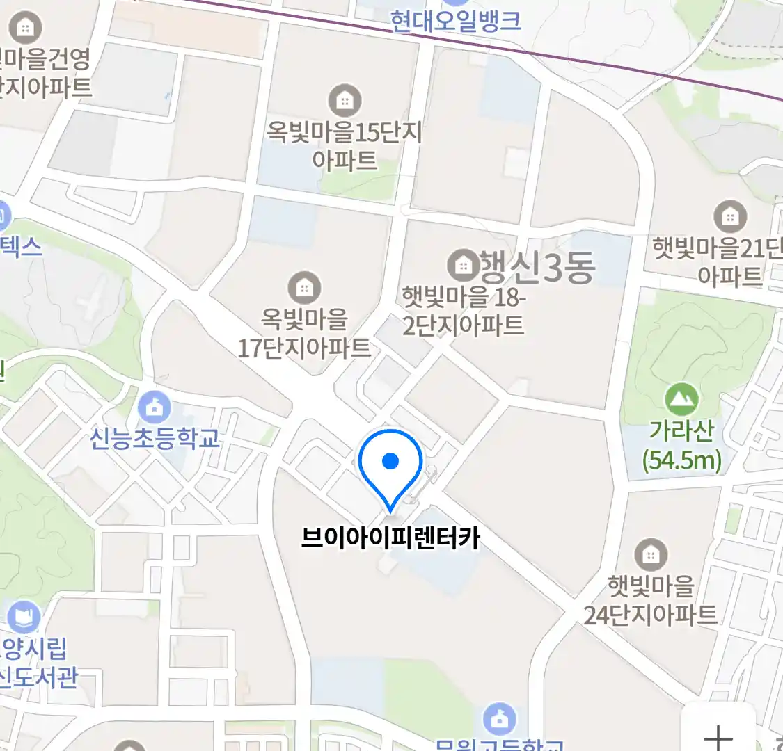 브이아이피렌터카 위치