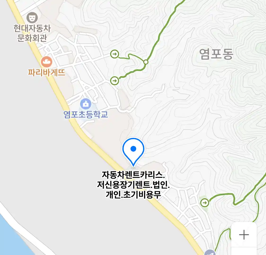 자동차렌트카리스.저신용장기렌트.법인.개인.초기비용무 위치