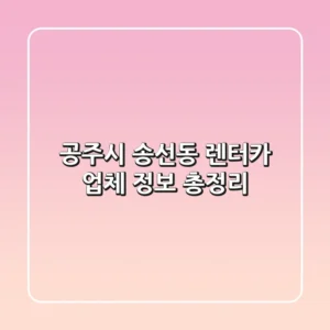 공주시 송선동 렌터카 업체 정보 총정리