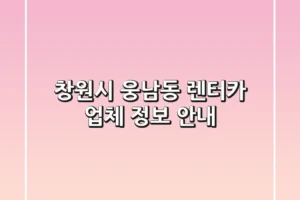 창원시 웅남동 렌터카 업체 정보 안내