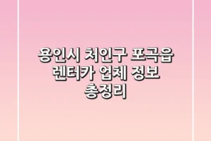 용인시 처인구 포곡읍 렌터카 업체 정보 총정리